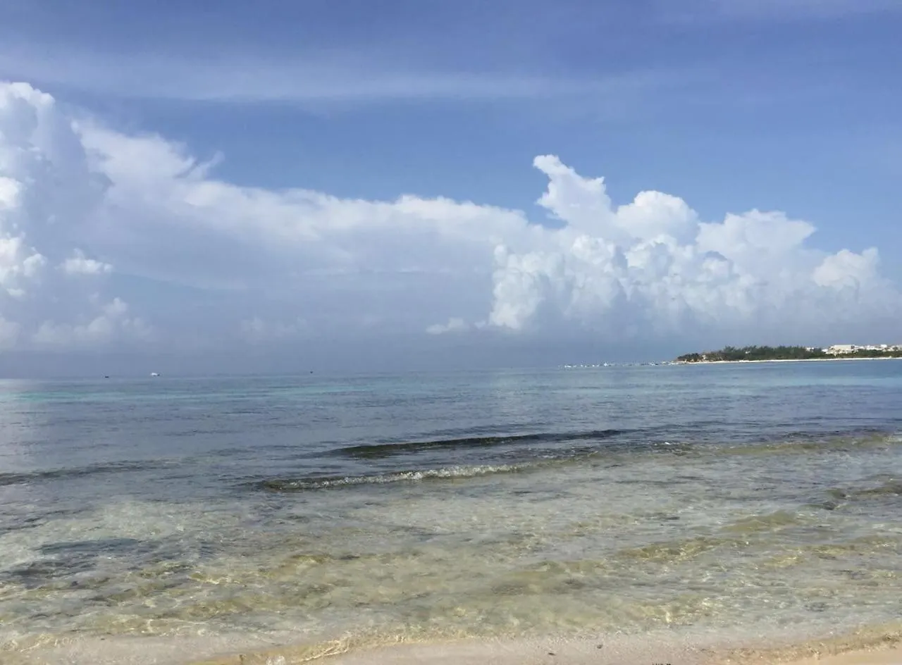 Guest house Rooms Playa Del Carmen 400Mts Playa Mexico