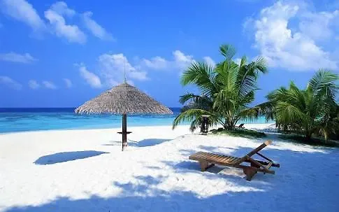 Rooms Playa Del Carmen 400Mts Playa Guest house